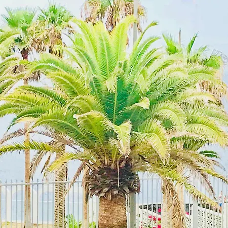 דירה Esmeralda קיאו סלבאחה